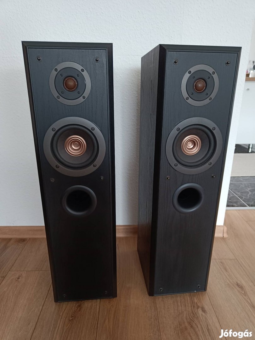 Technics SB-T100 hangfal pár