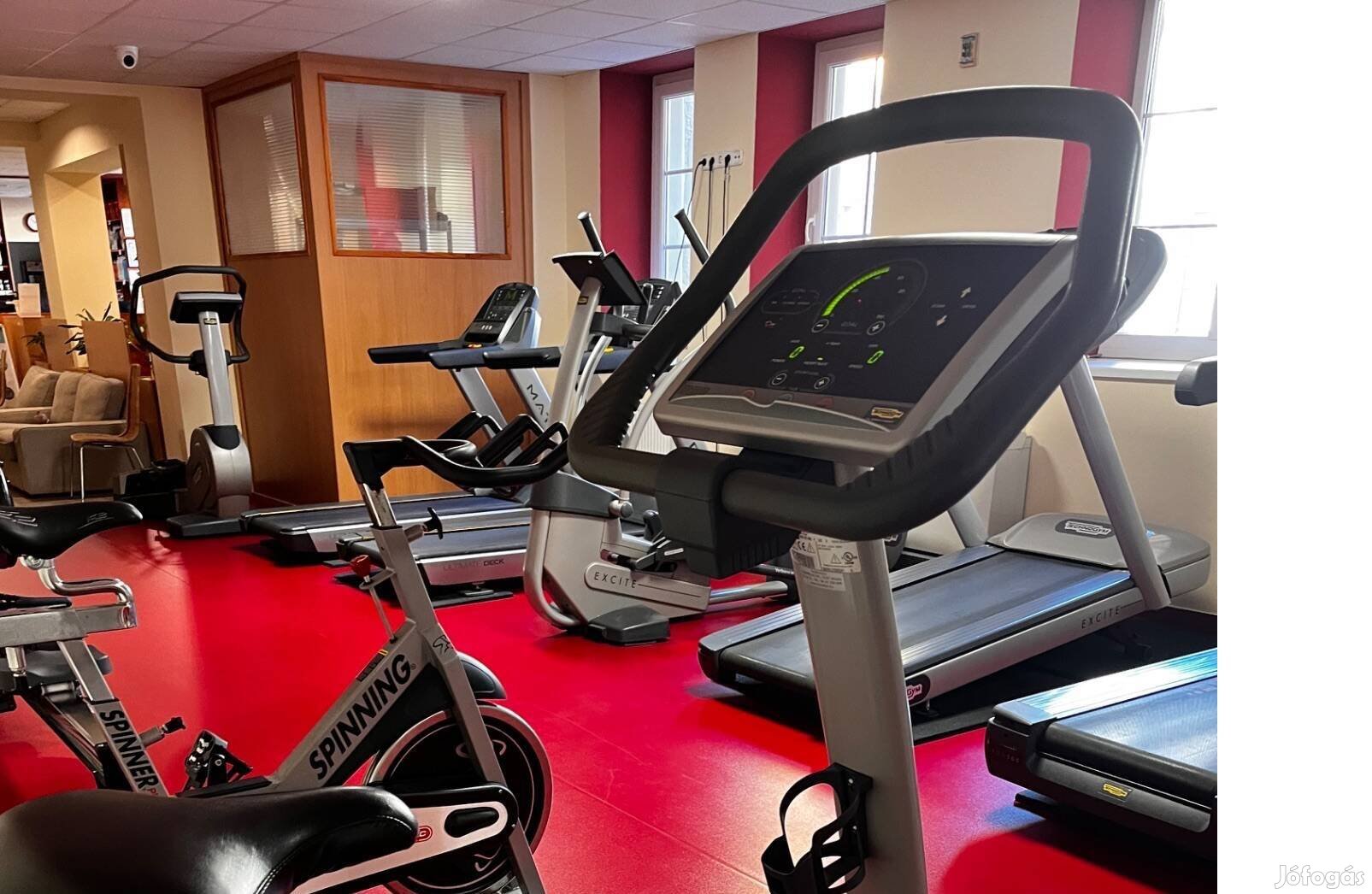 Technogym Bike Excite
