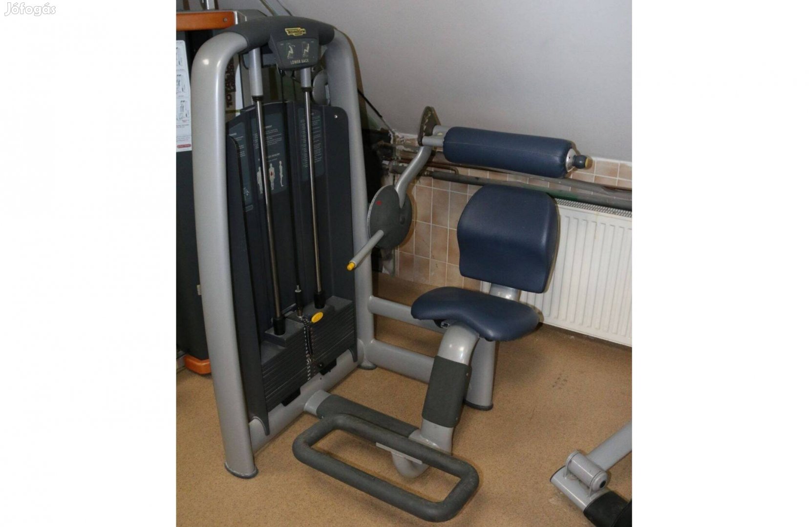 Technogym Selection Lower Back Alsó Hátgép(edzőgép)