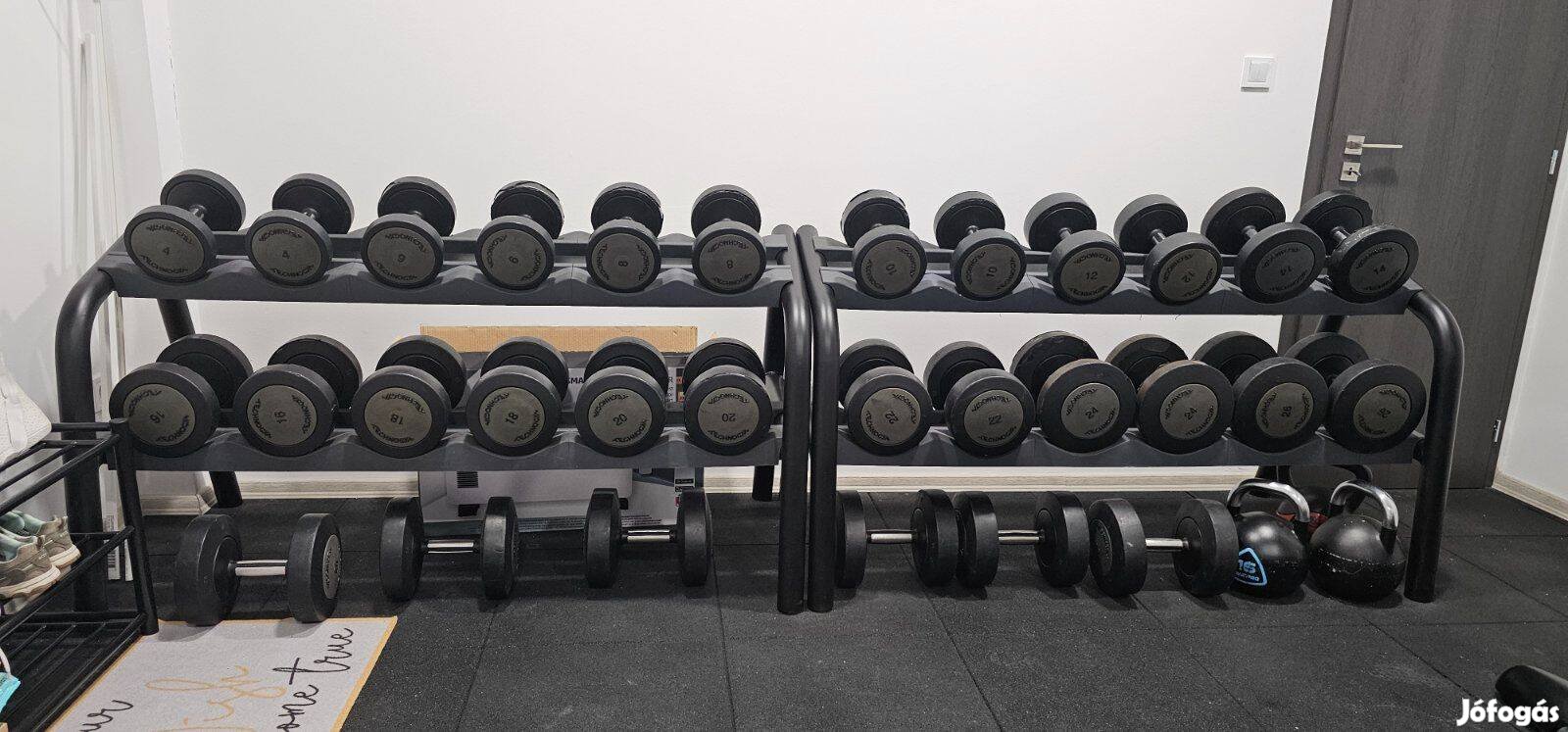 Technogym egykezes súlyzókészlet állvánnyal