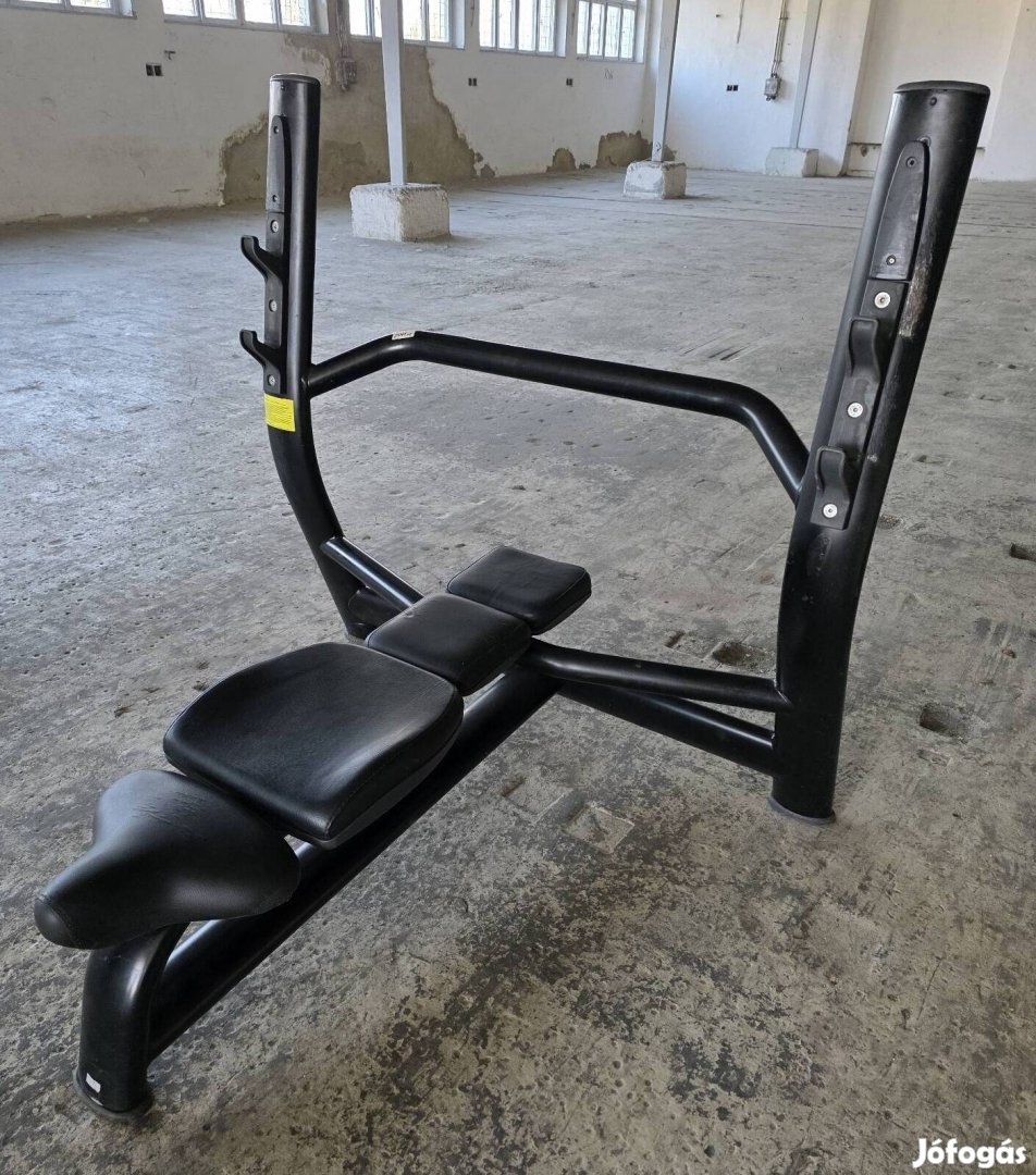 Technogym fekvenyomó pad