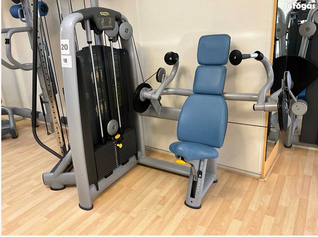 Technogym tricepsz gép, arm extension 