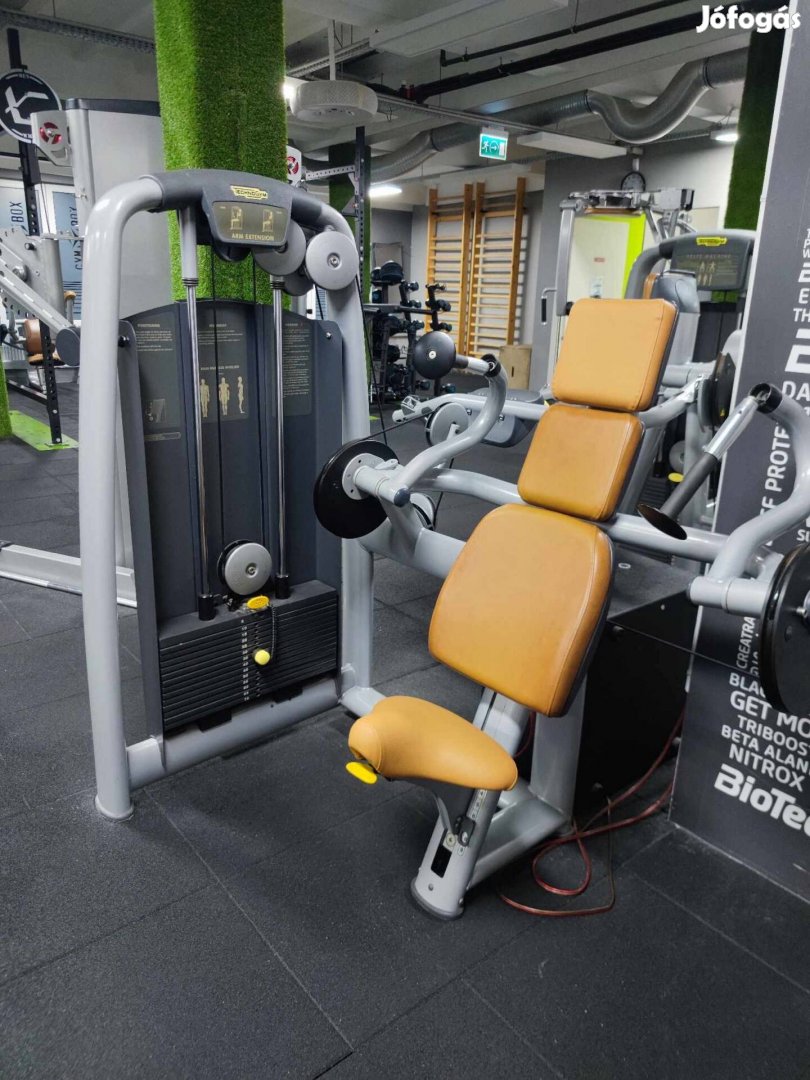 Technogym tricepszgép (Life Fitness, Cybex)