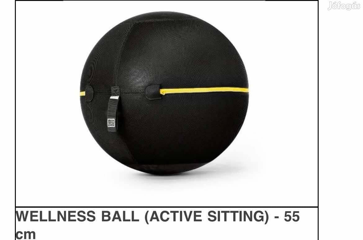 Technogym wellness ball