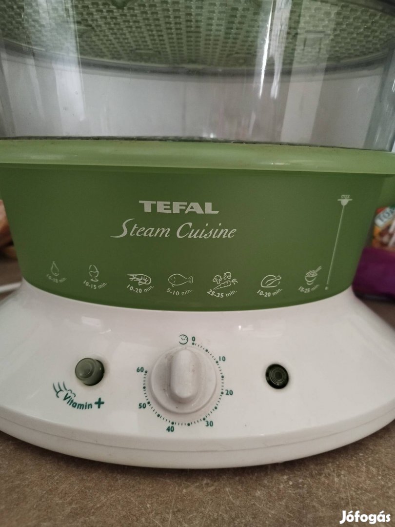 Tefal pároló