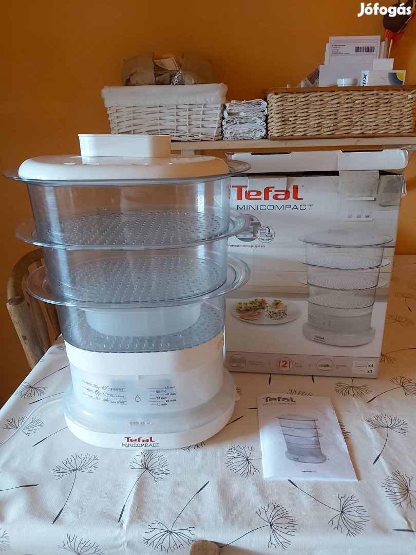 Tefal pároló