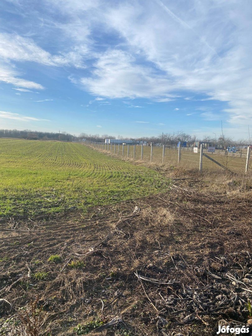 Téglási építési telek