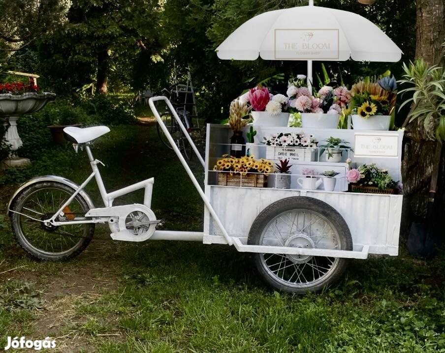 Teher tricikli Foodtruck Büfékocsi