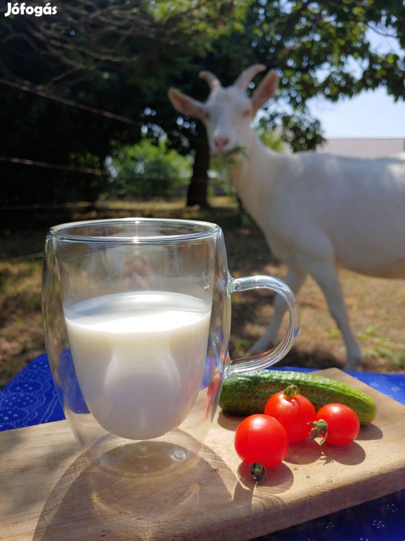 Tej, pasztörizált kecsketej
