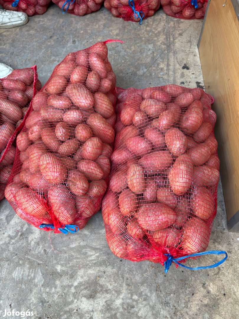 Télálló Desire burgonya és vöröshagyma