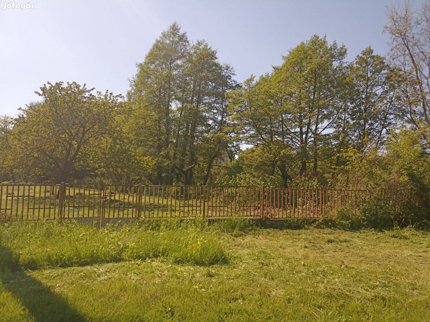 Telek (Kemence, Börzsöny)