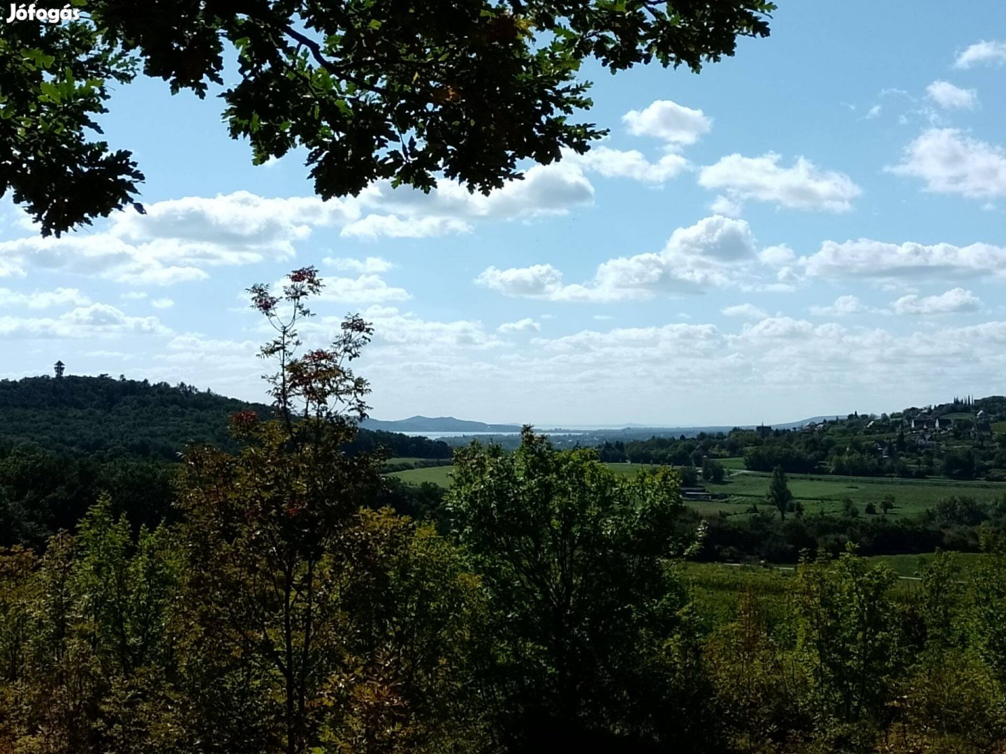 Telek,tanya,birtok,kert,szőlő