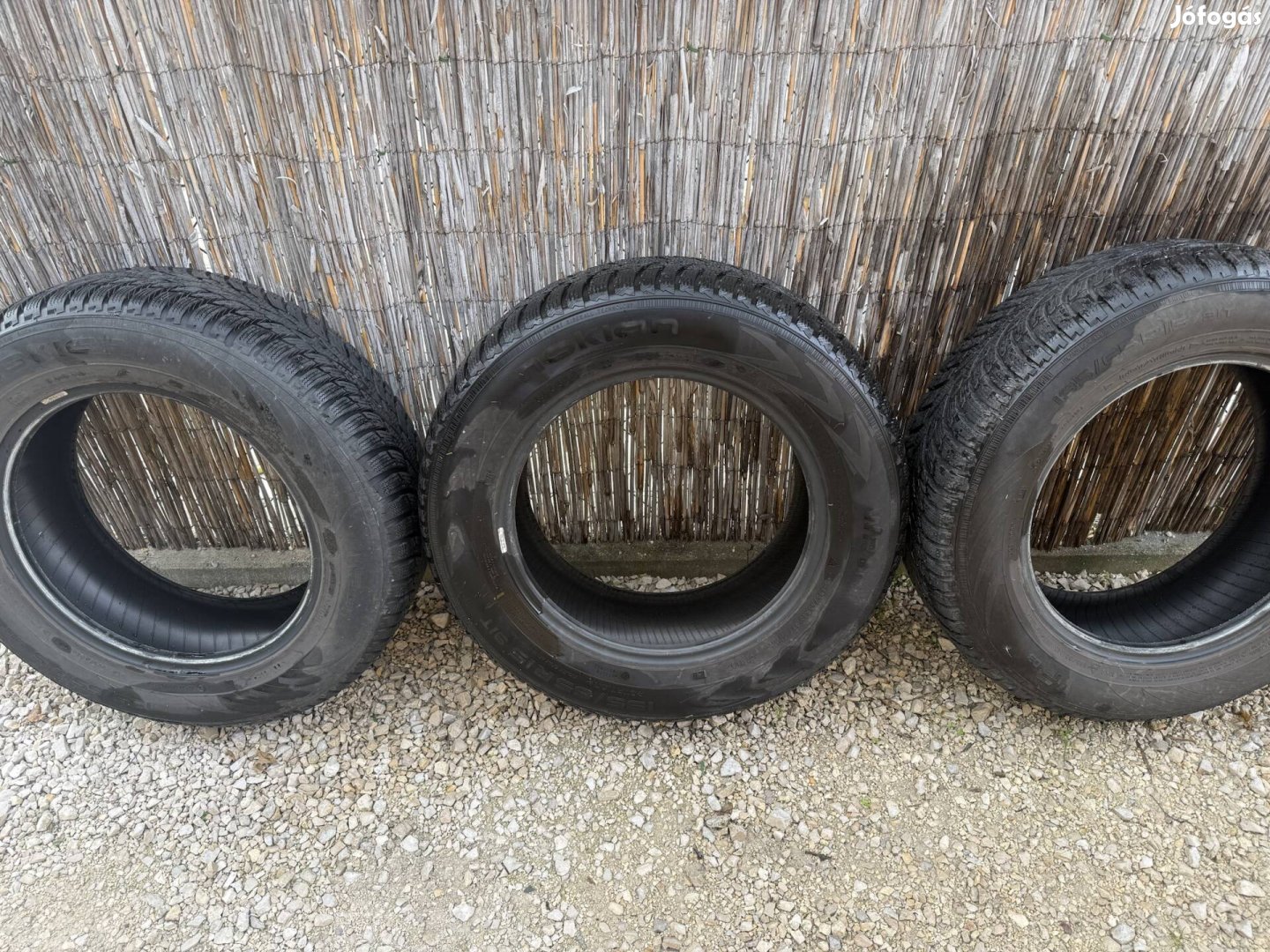 Téligumi Nokian 195/65 R15
