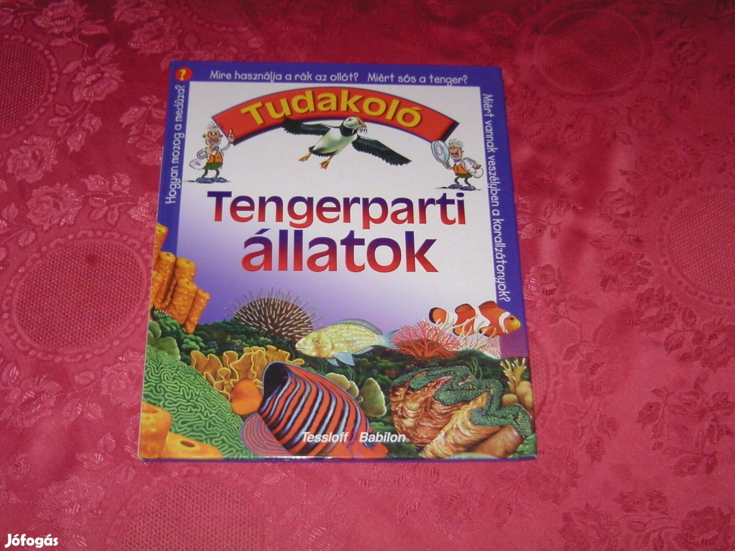 Tengerpari állatok c. könyv