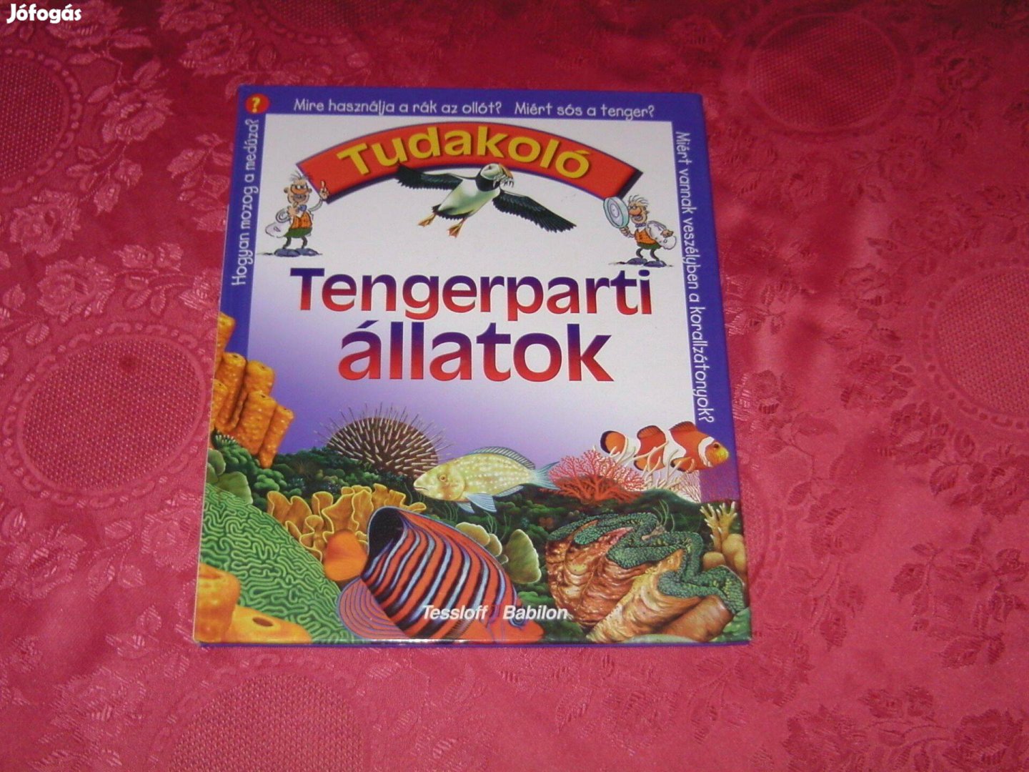 Tengerparti állatok c. könyv