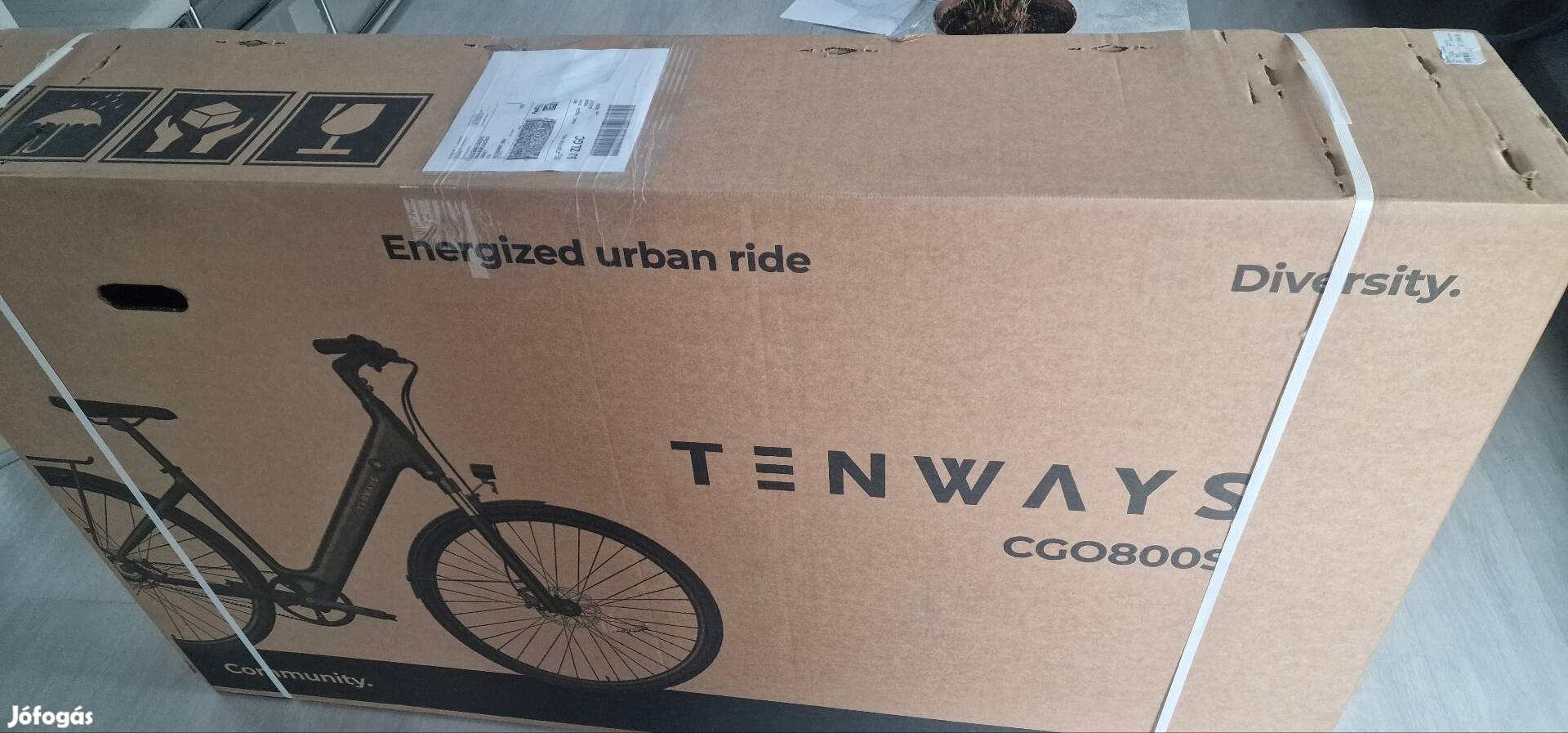 Tenways CGO800S E-bike