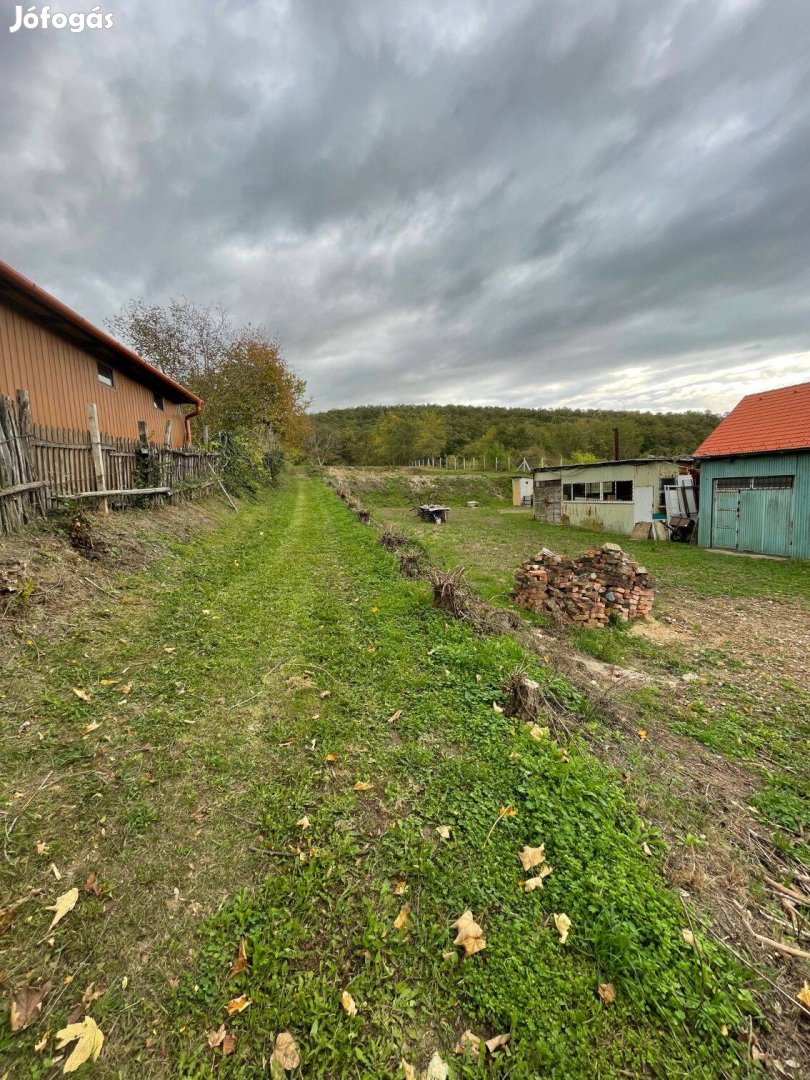 Tényőn Az Erdőszélén Panorámás Összközműves Telek Eladó