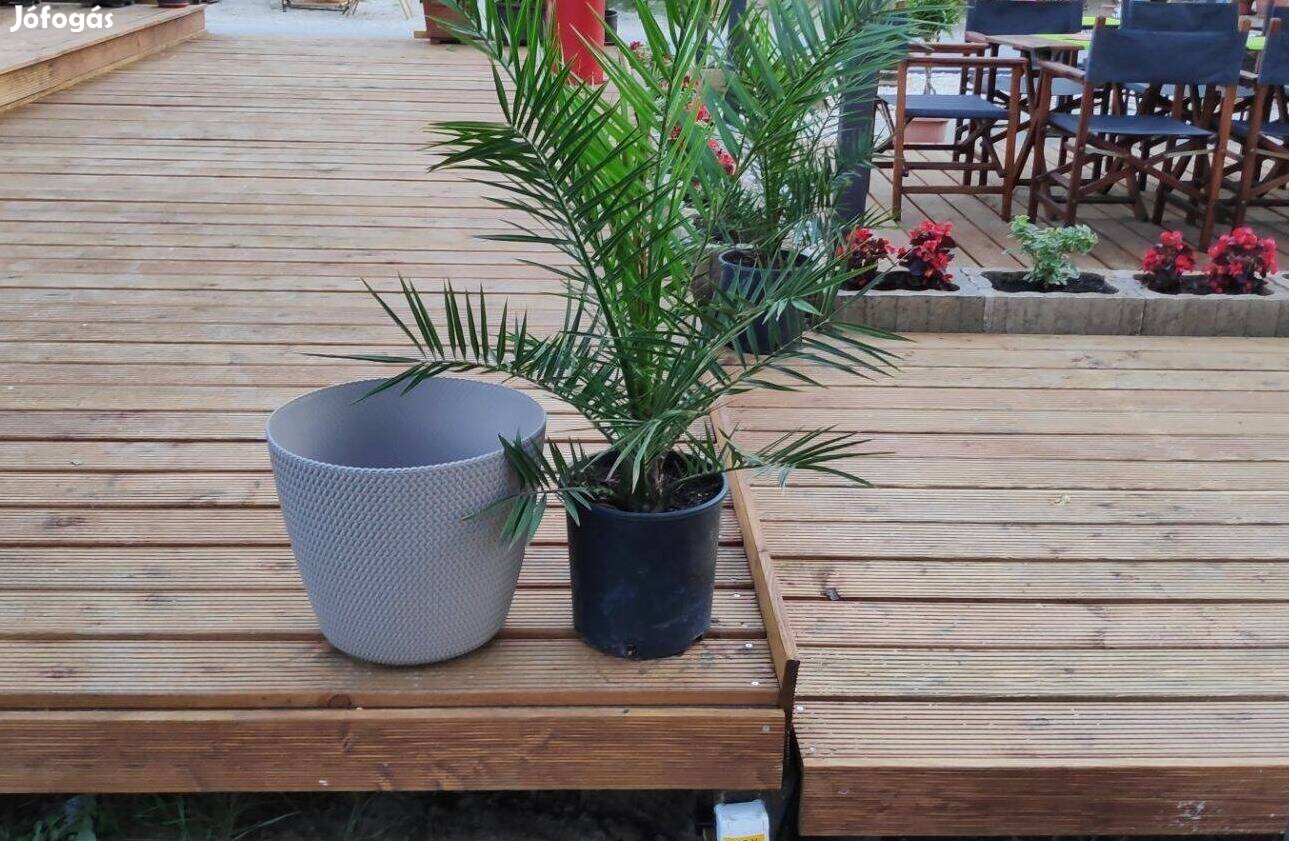 Teraszpanelek, 7 darab 3m x 2m nagyságú elem