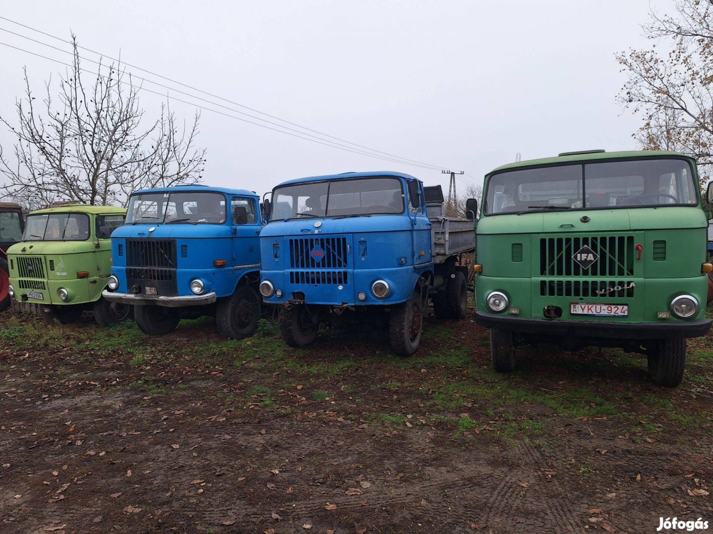 Terepes Ifák Eladók