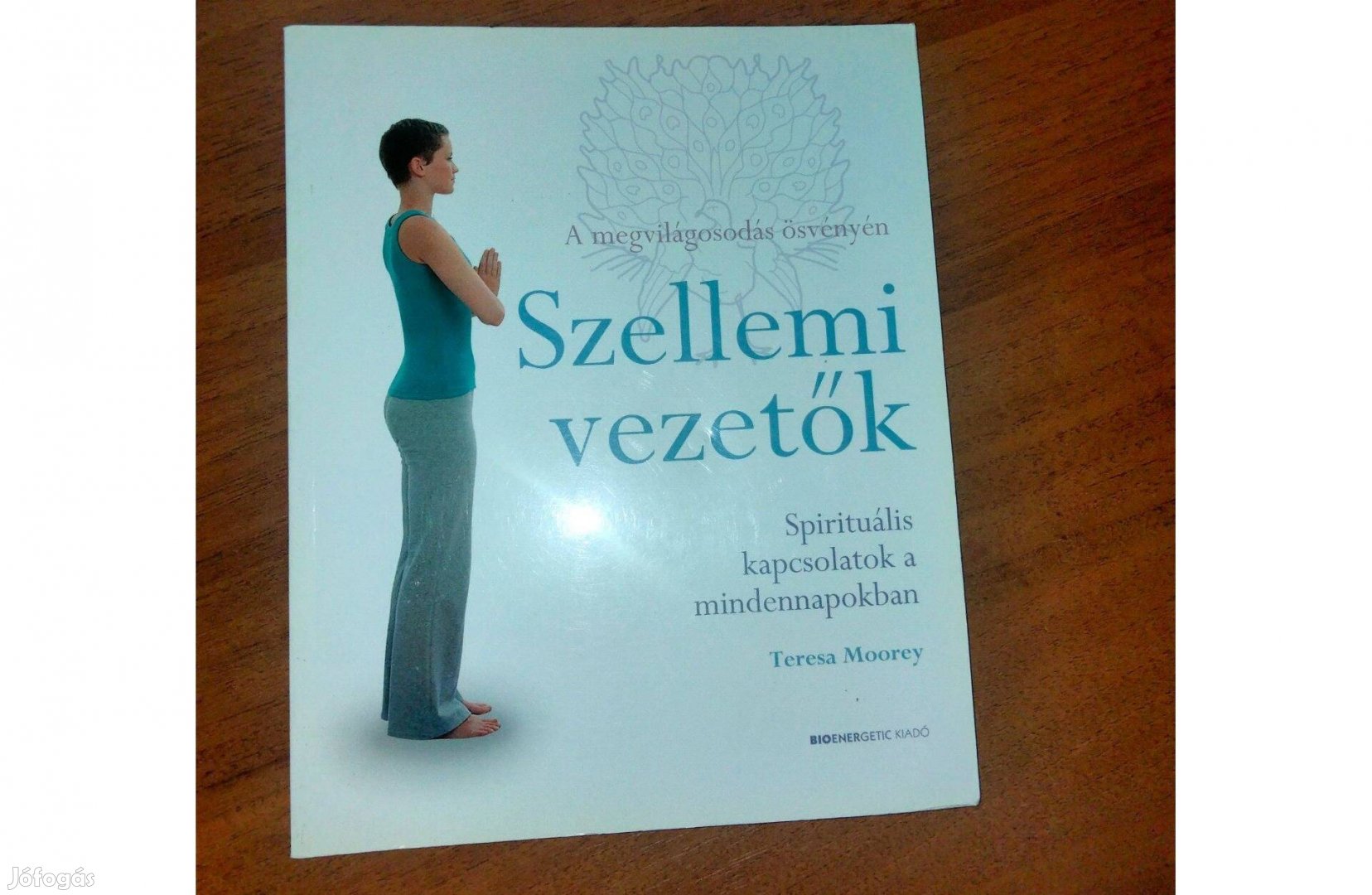 Teresa Moorey : Szellemi vezetők