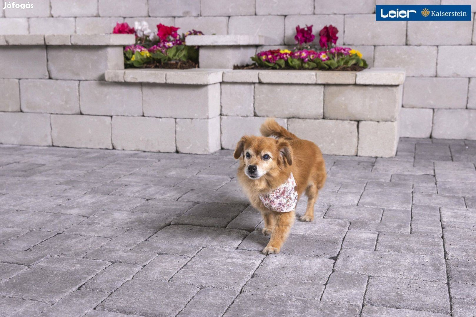 Térkő, L Mercato feketemárvány, országos szállítással 3