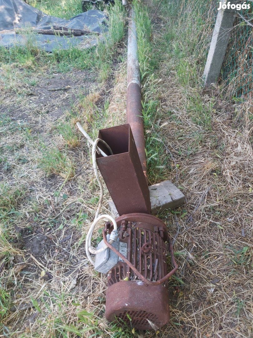 Terménycsiga eladó