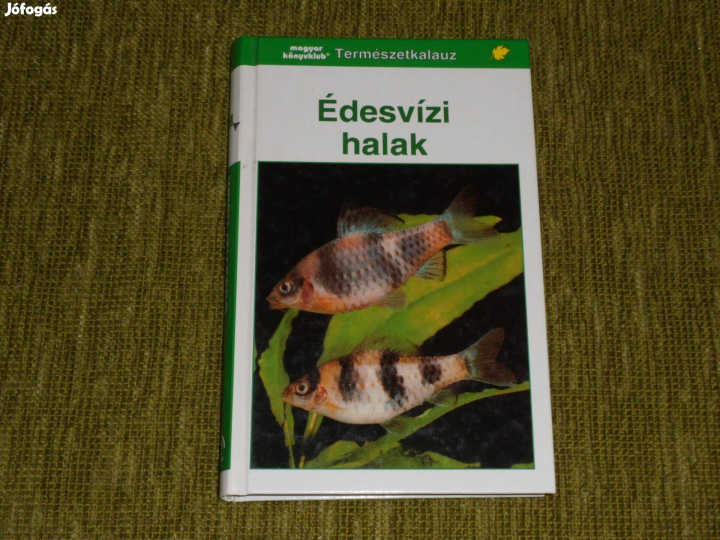 Természetkalauz: Fritz Terofal: Édesvízi halak