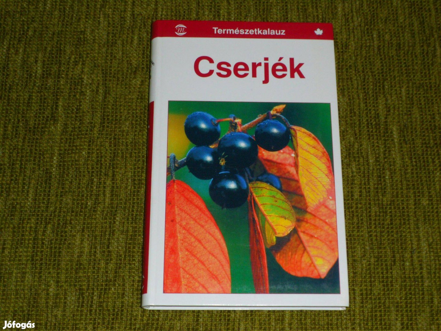 Természetkalauz: Gunter Steinbach: Cserjék