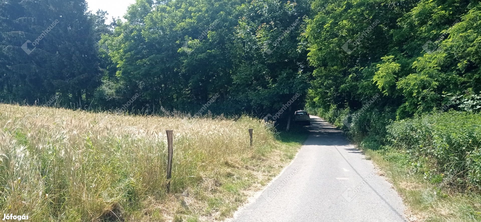 Természetközeli Építési telek Zalaegerszegen eladó!