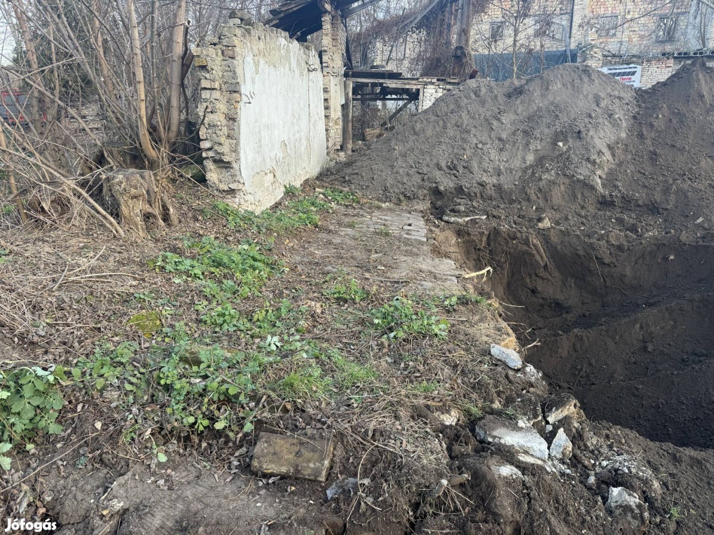 Termőföld  (fekete) eladó