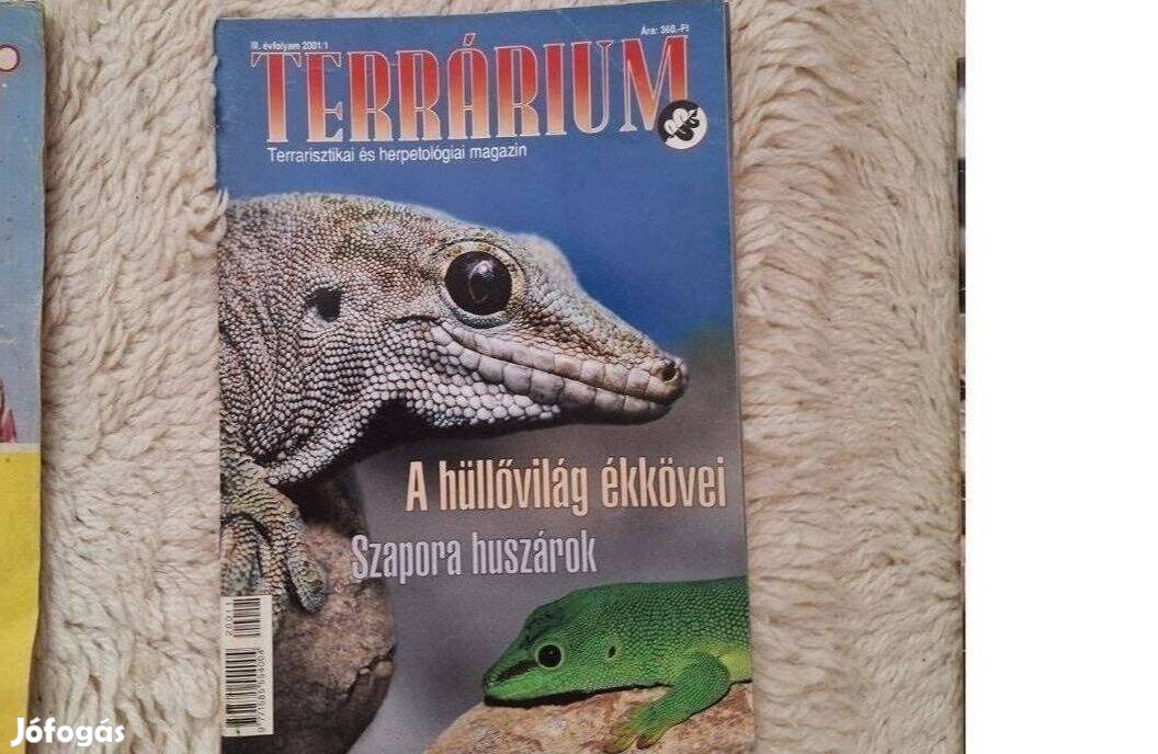 Terrárium 20011 magazin eladó. Szülinapra kiváló ajándék