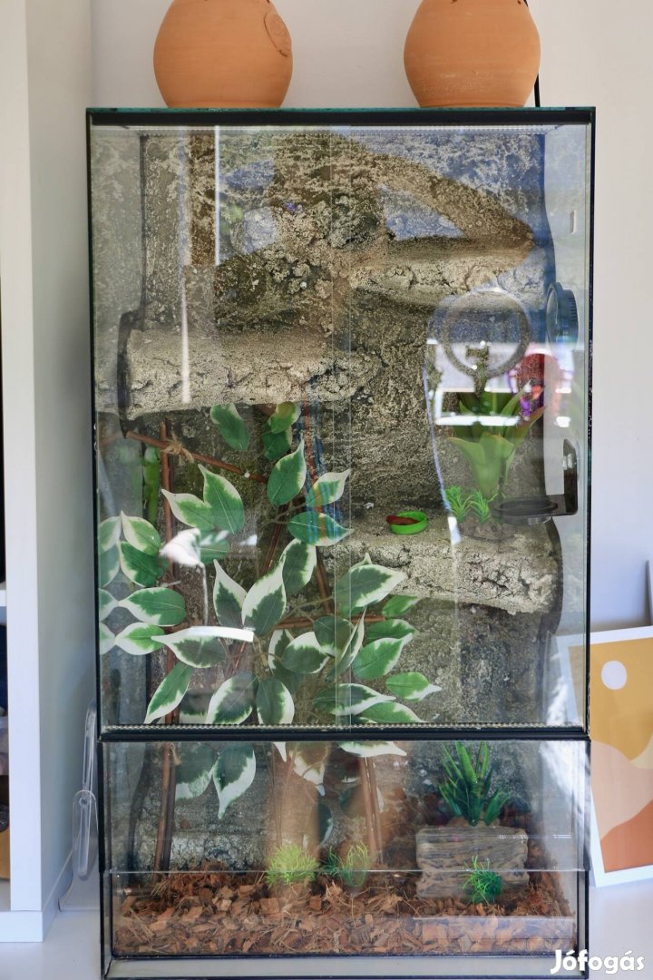 Terrarium eladó