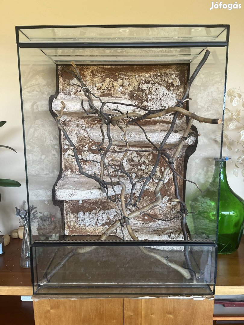 Terrárium és lámpák