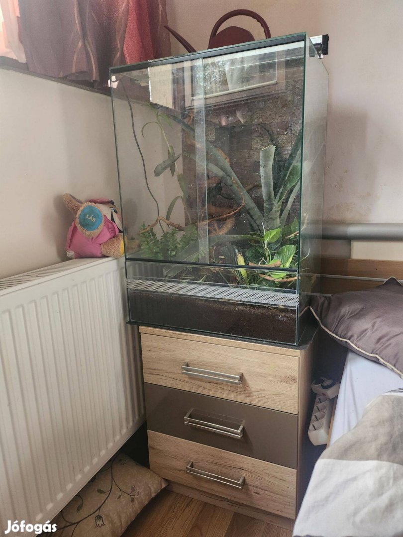 Terrárium hüllőknek
