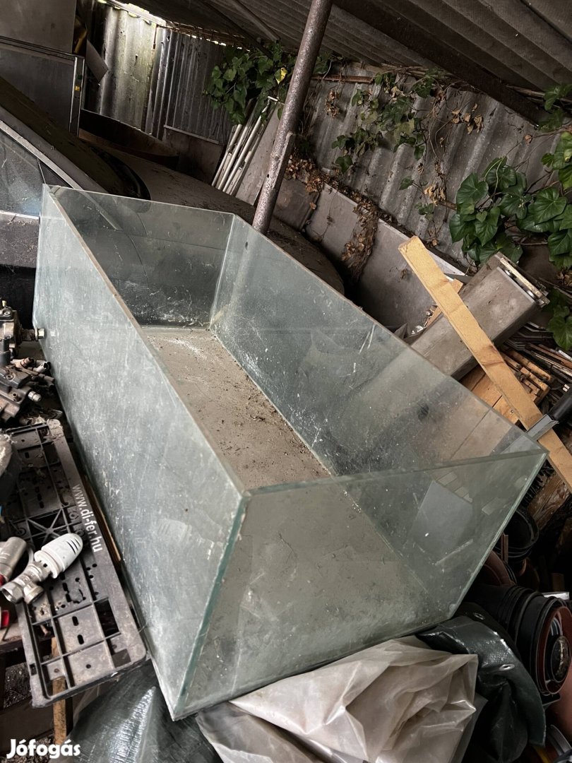 Terrárium ingyen elvihető