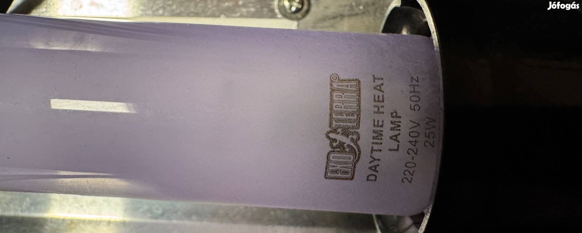 Terrárium világítás