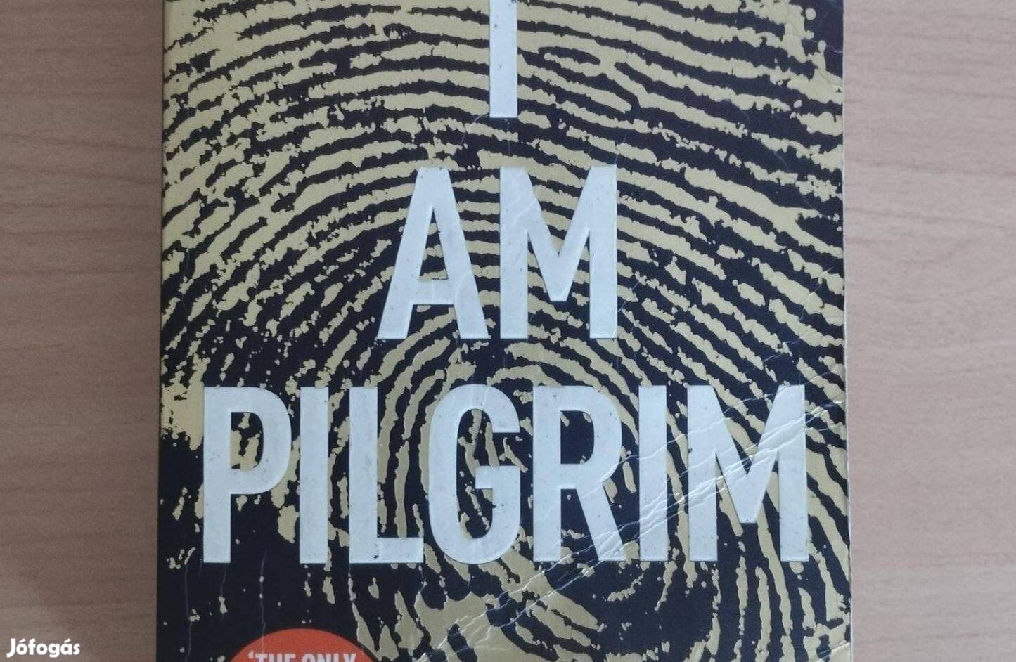 Terry Hayes - I am pilgrim