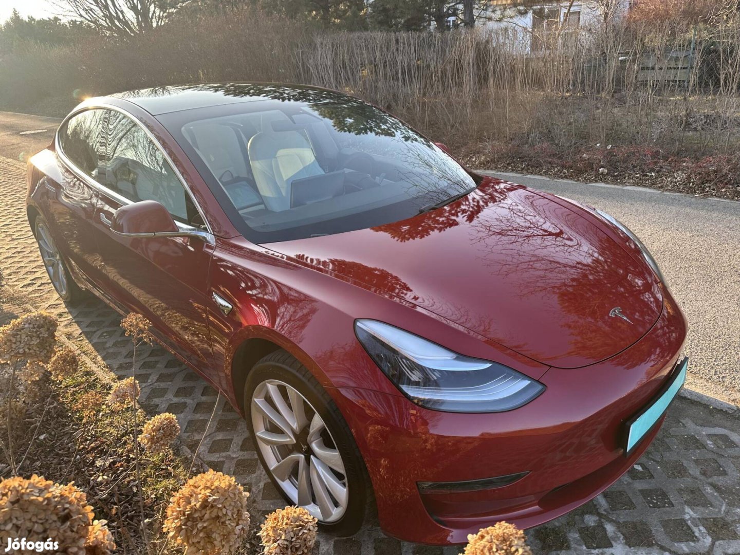 Tesla Model 3 Standard Range Plus Aut