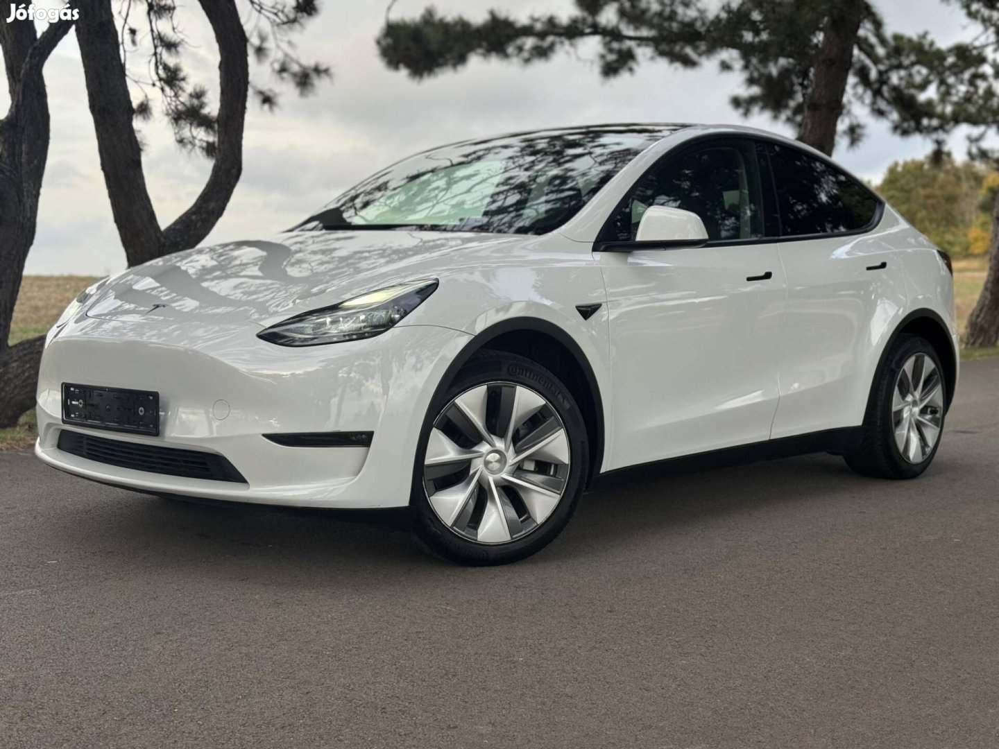 Tesla Model Y Long Range AWD (Automata)