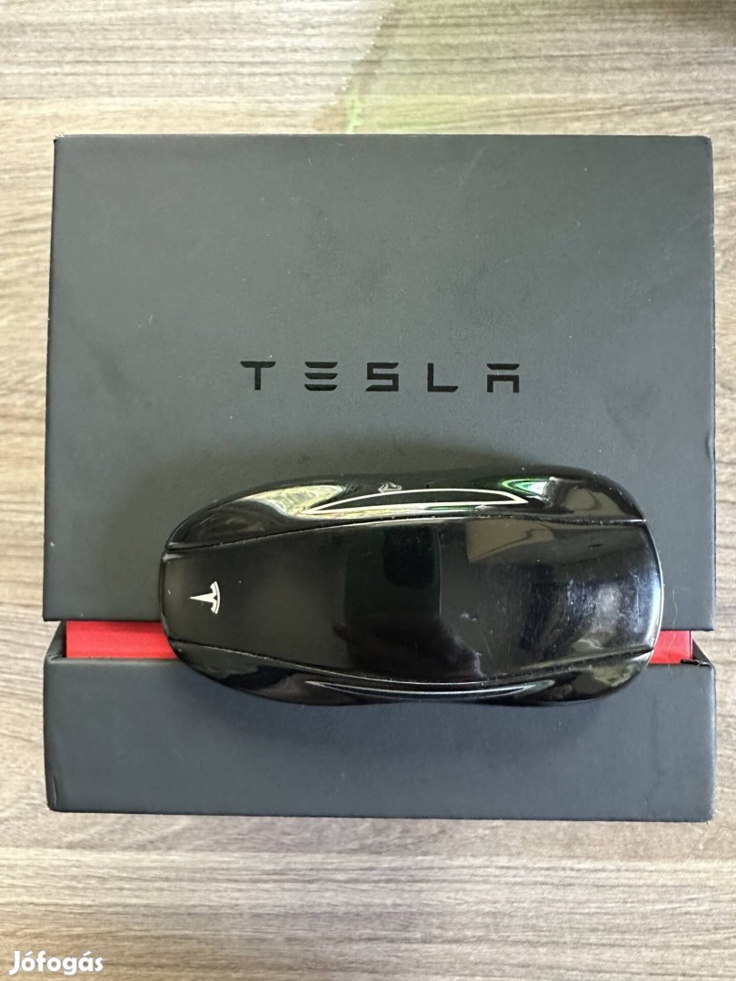 Tesla model 3/ Y keyfob