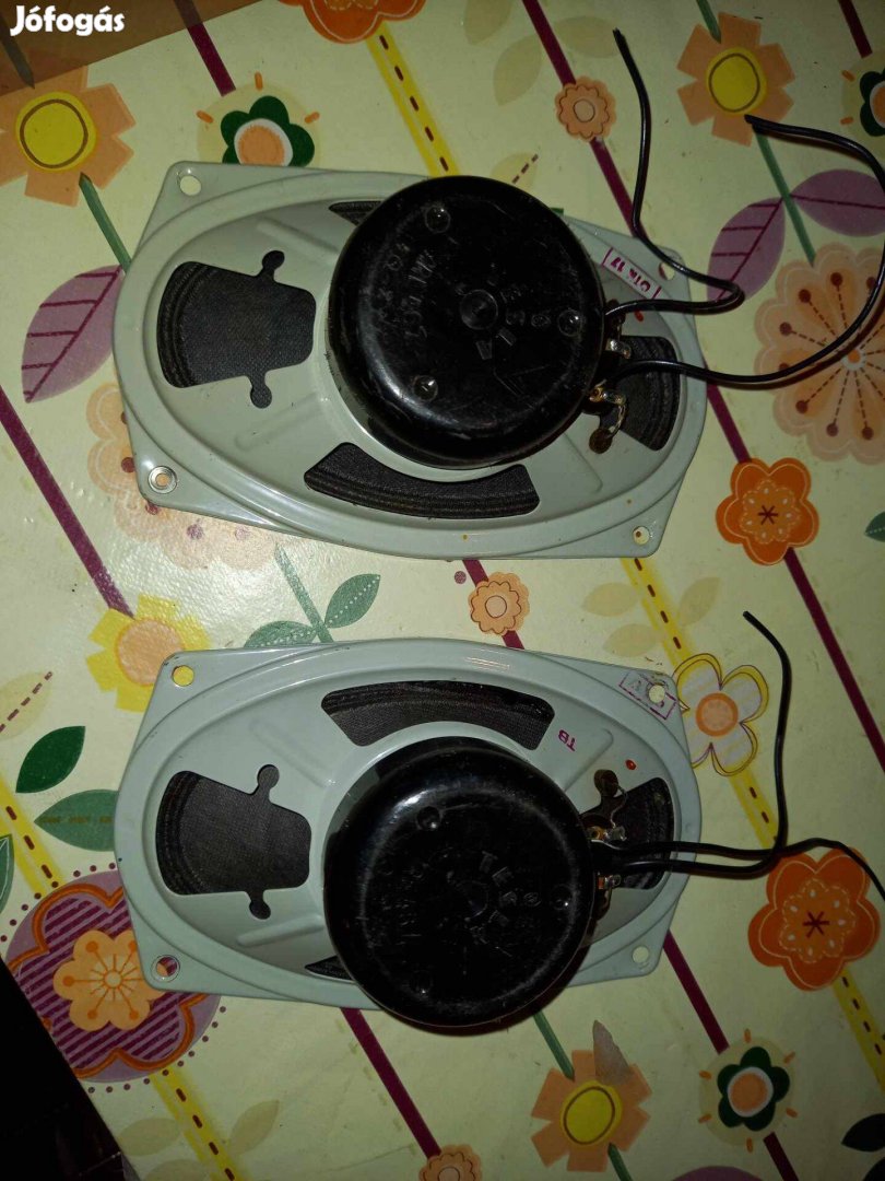 Tesla ovál hangszórópár