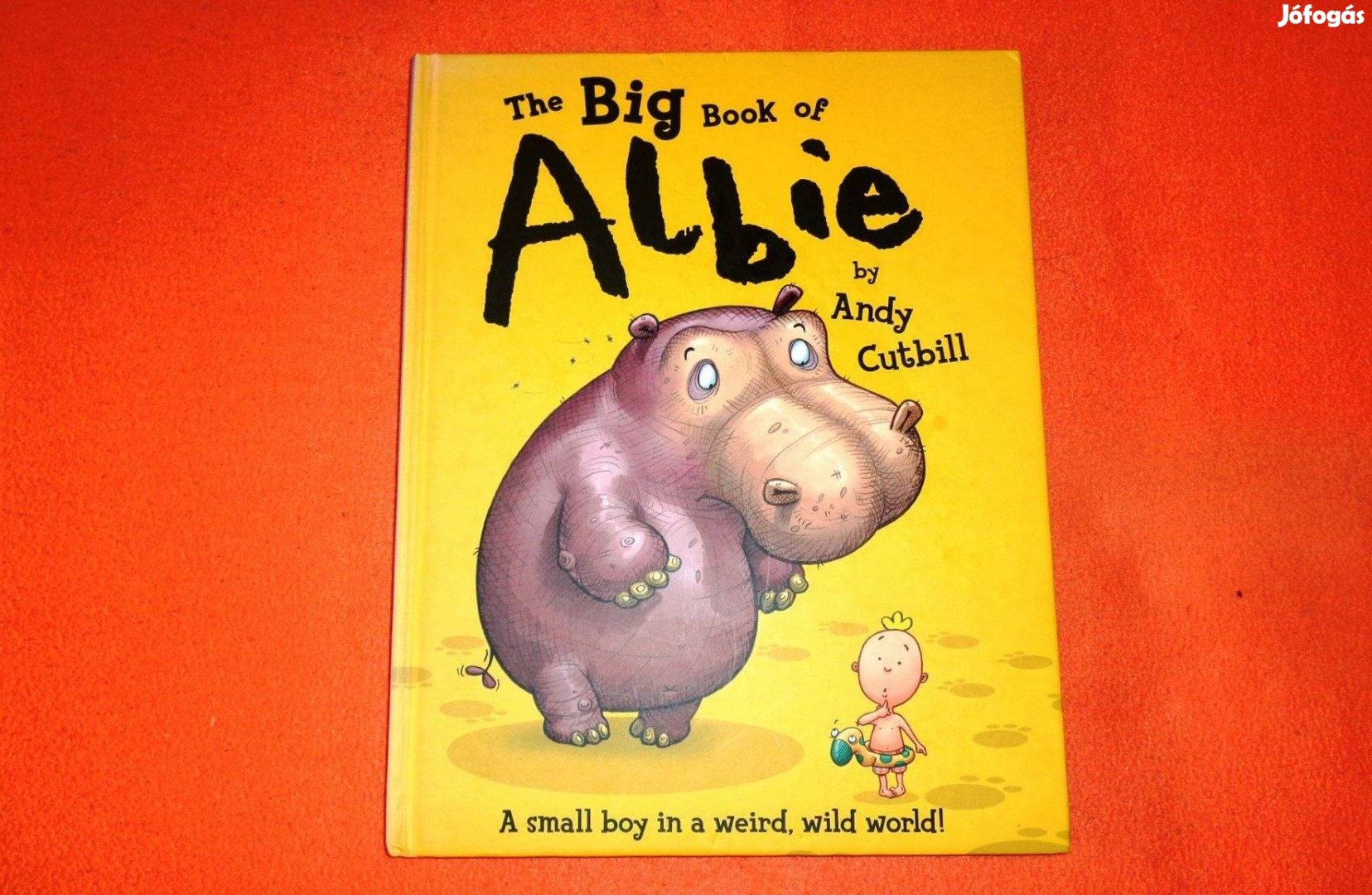 The Big Book of Albie by Andy Cutbill (angol nyelvű gyerekkönyv)