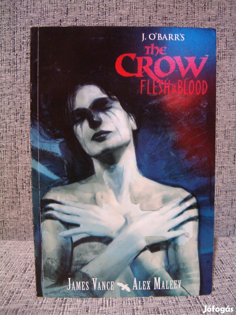 The Crow Flesh & Blood (A Holló) angol képregény