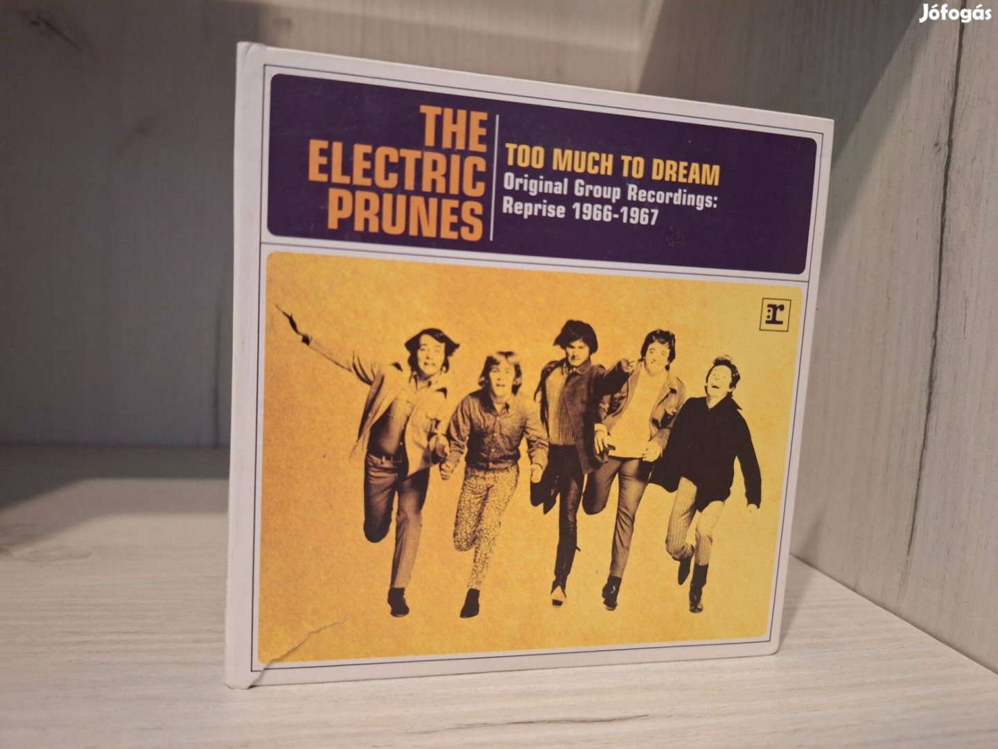 The Electric Prunes - Too Much To Dream CD
