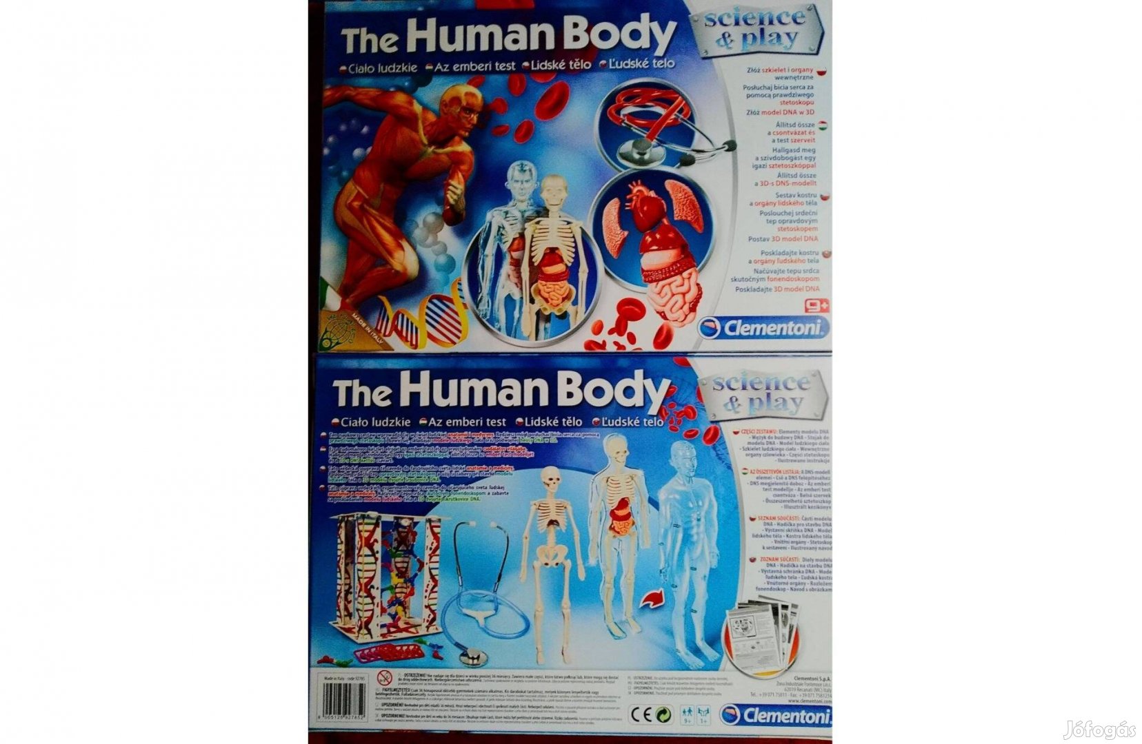 The Human Body Az emberi test 3 D modellje sztetoszkóppal