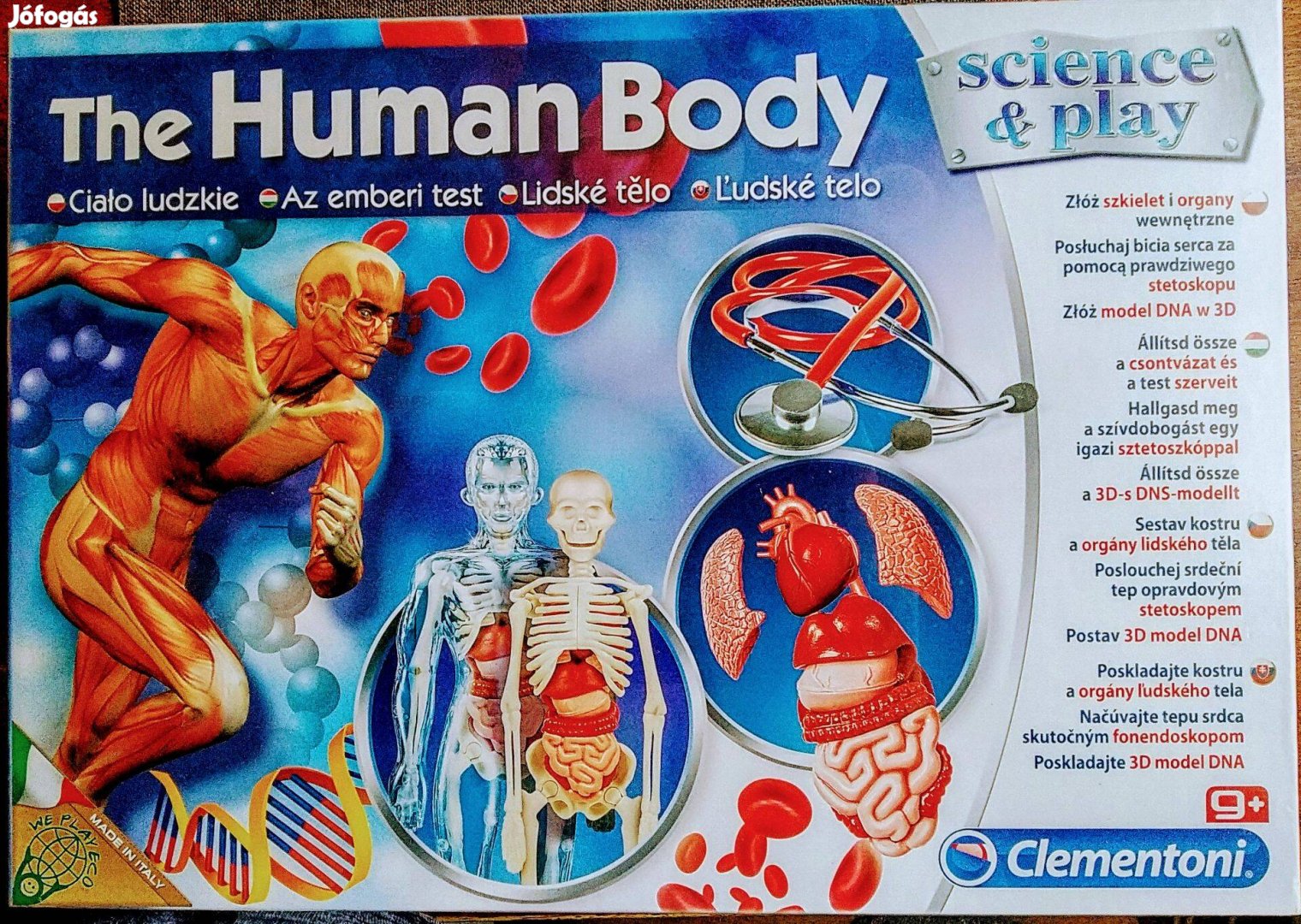 The Human Body XXL Bővített Csomag Szettoszkóppal