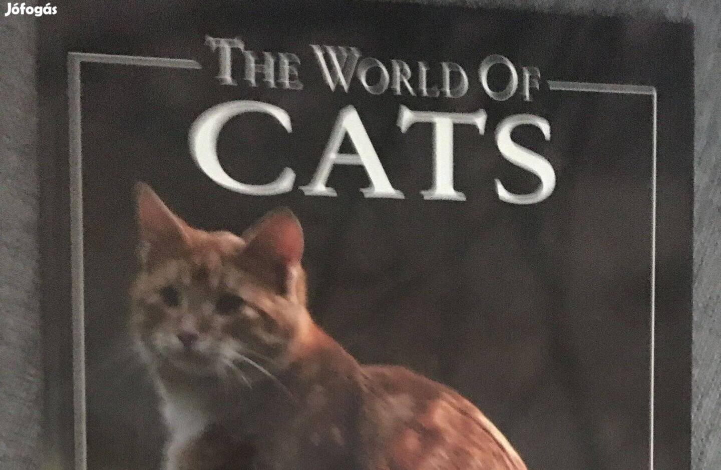 The World of Cats - angol nyelvű könyv