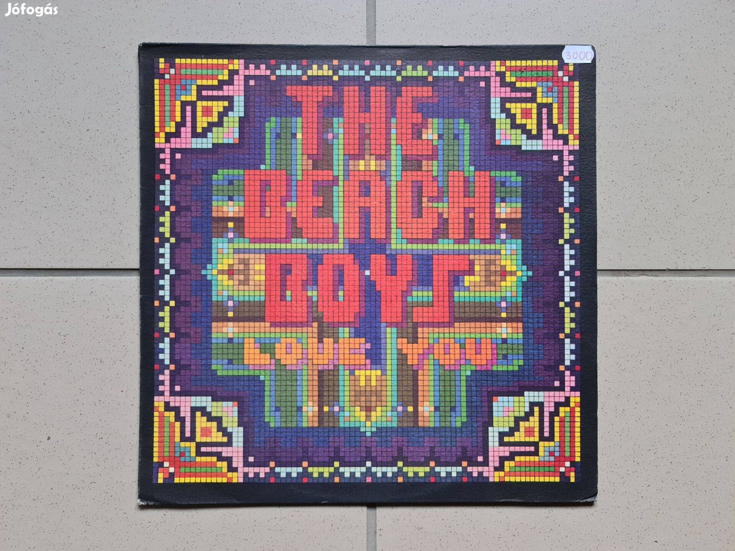 The beach boys - love you vinyl bakelit lp hanglemez