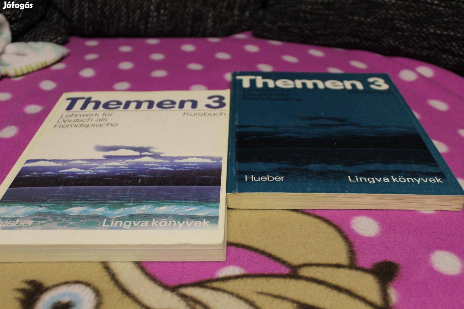 Themen 3-Kursbuch, Arbeitsbuch, Nemet nyelvkonyv es munkafuzet