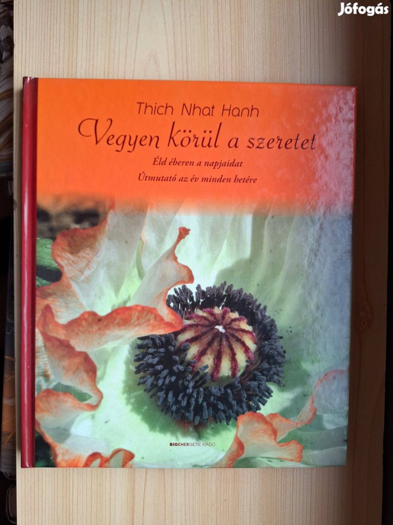 Thich Nhat Hanh: Vegyen körül a szeretet Éld éberen a napjaidat